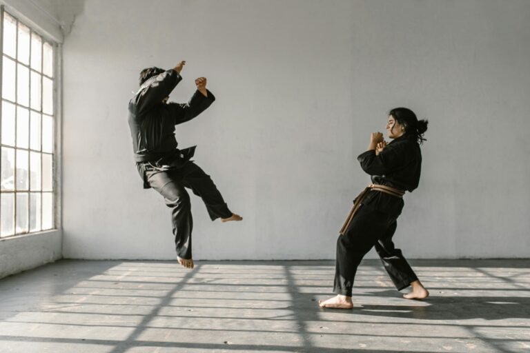 Free stock photo of action, adult, aikido