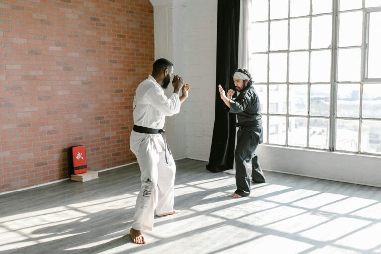 Free stock photo of aikido, arawaza, balance
